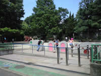 高円寺 公園